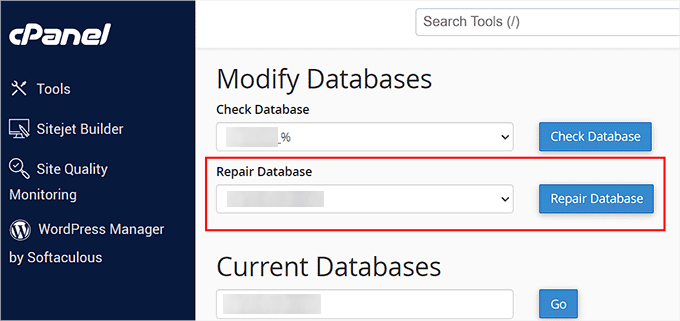 如何修复 WordPress 中建立数据库连接时出现的错误 click-repair-database-button-120251114_ -7 如何修复 WordPress 中建立数据库连接时出现的错误 click-repair-database-button-120251114_ -7