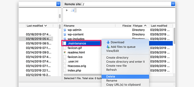 WordPress 错误排查入门指南（分步详解） delete-maintenance-mode-file20251123_ -8