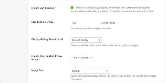 如何在 WordPress 中将 NextGEN Gallery 切换到 Envira Gallery envira-lazy-loading-min20251120_ -10 如何在 WordPress 中将 NextGEN Gallery 切换到 Envira Gallery envira-lazy-loading-min20251120_ -10