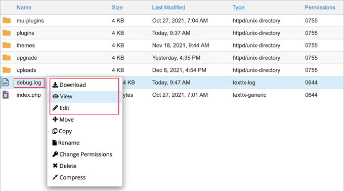 WordPress 错误排查入门指南（分步详解） errorlogsviewdebuglog20251123_ -9