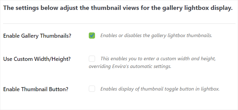 Envira Gallery 评测 – 最佳 WordPress 图库插件 lightbox-thumbnail20251120_ -21 Envira Gallery 评测 – 最佳 WordPress 图库插件 lightbox-thumbnail20251120_ -21