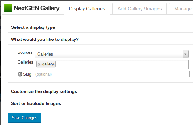NextGEN Gallery 评测:它是最好的图库插件吗? nextgen-gallery-review-display20251120_ -7 NextGEN Gallery 评测:它是最好的图库插件吗? nextgen-gallery-review-display20251120_ -7