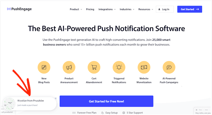 我的 WordPress 转化率优化终极指南 pushengage-social-proof20251109_ -19 我的 WordPress 转化率优化终极指南 pushengage-social-proof20251109_ -19