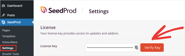SeedProd 评测——这款网站建设工具真的好用吗？【2025 年】 seedprod-license-key20251118_ -4