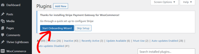  start-onboarding-wizard-stripe20251109_ -2