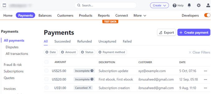  stripe-dashboard-test-payment20251109_ -11