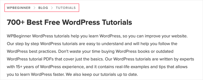 如何提升 WordPress 用户体验（13 个实用技巧） taxonomyseo-breadcrumbs-example20251109_ -12