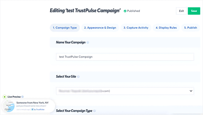 2025 年 5 款最佳 WordPress 弹出窗口插件（性能对比） trustpulsepopupcampaign20251107_ -7