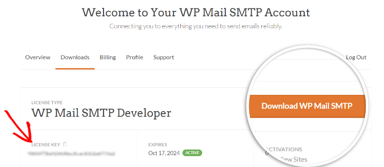 WP Mail SMTP 评测:WordPress 最佳 SMTP 插件 wp-mail-smtp-dashboard20251119_ -3 WP Mail SMTP 评测:WordPress 最佳 SMTP 插件 wp-mail-smtp-dashboard20251119_ -3