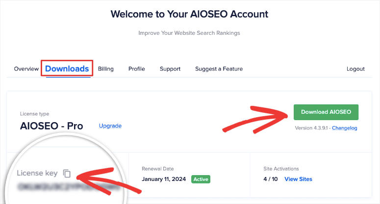如何在2分钟内创建WordPress XML站点地图 download-aioseo-pro-plugin20251201_-1 -5