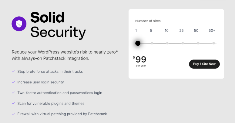 Solid Security (iThemes Security) 2025 年评测:这是最好的安全插件吗? solid-security-pricing20251206_ -29 Solid Security (iThemes Security) 2025 年评测:这是最好的安全插件吗? solid-security-pricing20251206_ -29
